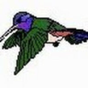 Meet your Posher, Joanne